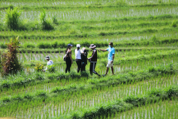 sidemen-village-trekking