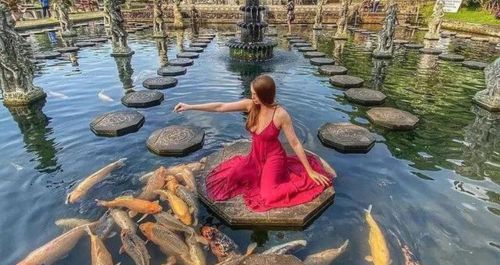 feeding fish at water palace bali